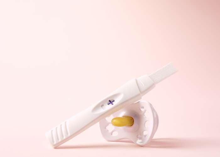 Pregnancy and the menstrual cycle