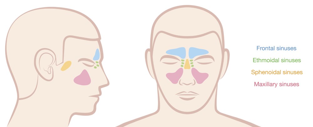 Headache Location Chart And Meaning