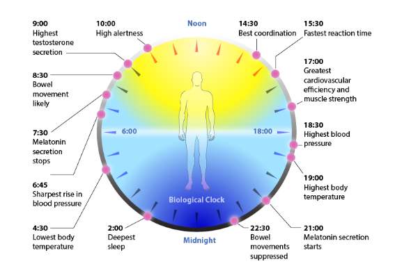 Circadian rhythm sleep