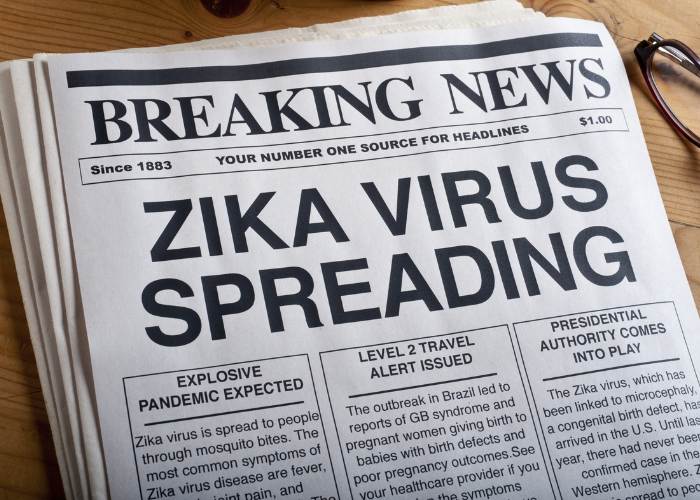 What diseases do mosquitoes carry?