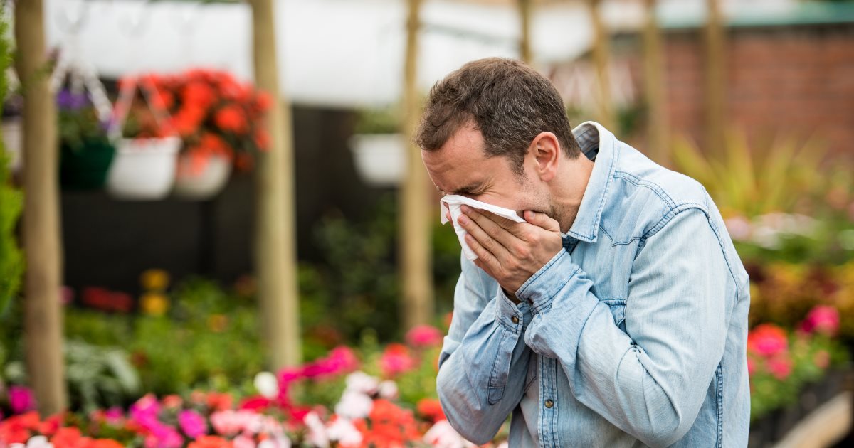Why has my hayfever been so bad this year?