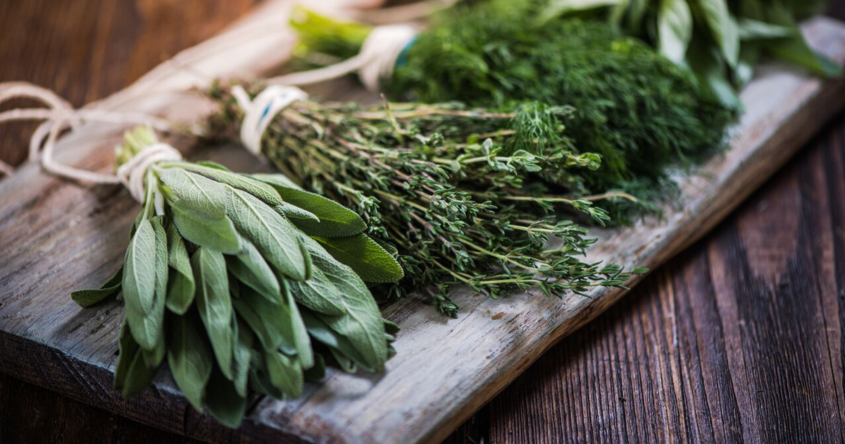5 top herbs for muscle and joint pain