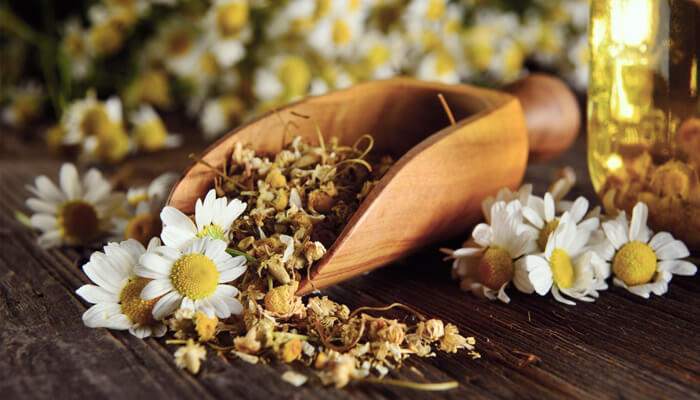 What herbal tea is good for a cold?