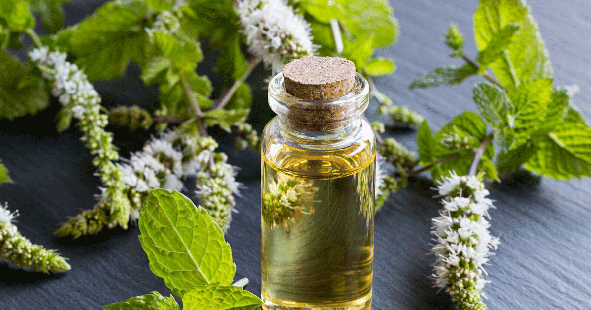 Does peppermint oil help IBS symptoms?