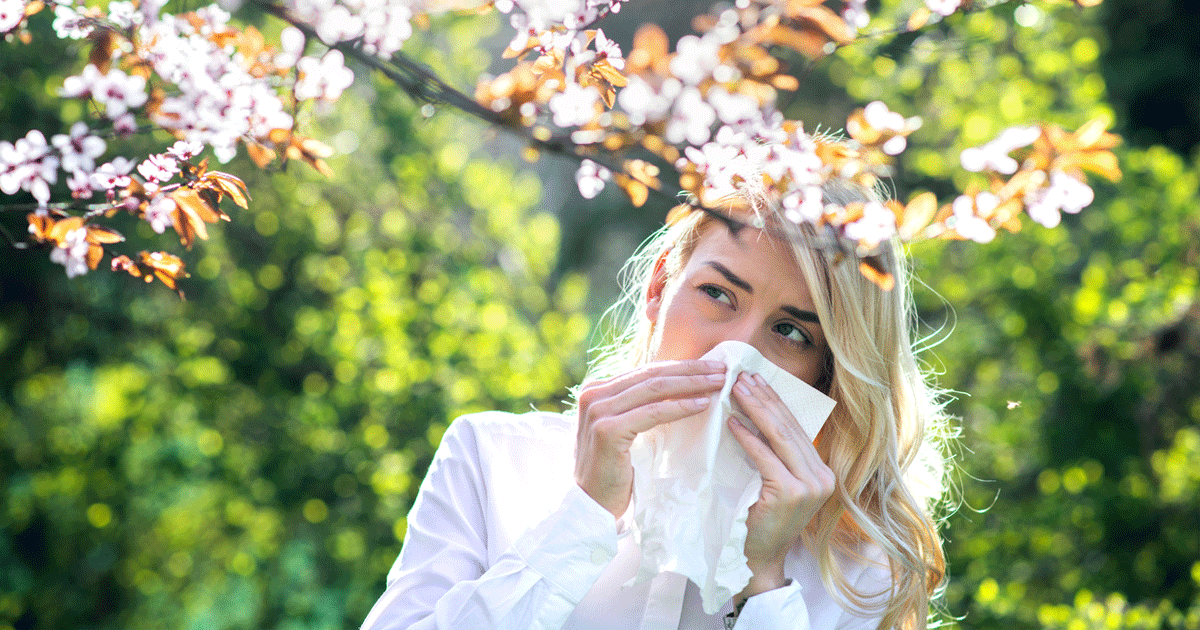How long does allergic rhinitis last?