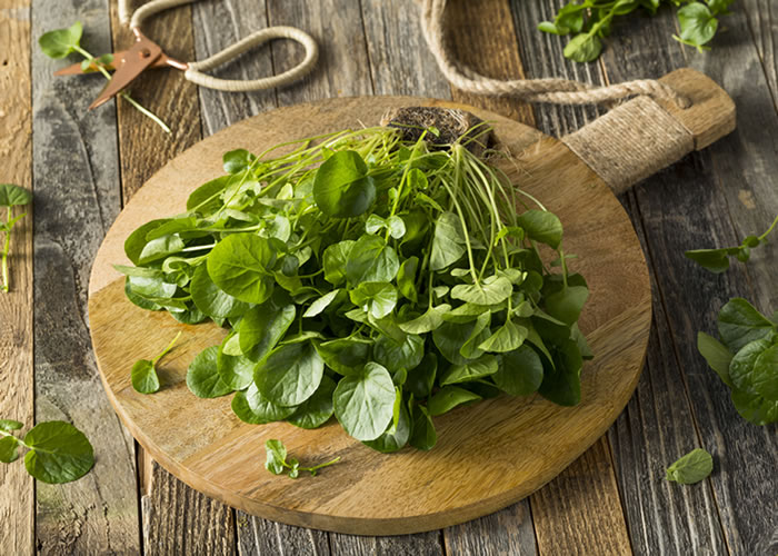NEW RESEARCH: Watercress – is it the new superfood?