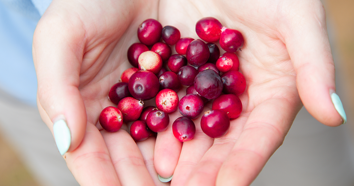 Could this simple fruit improve your digestion?