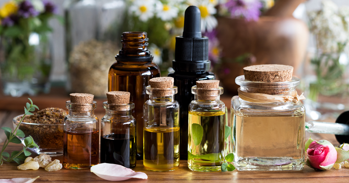 Explore eucalyptus oils for humidifier | Explore eucalyptus oils for humidifier |