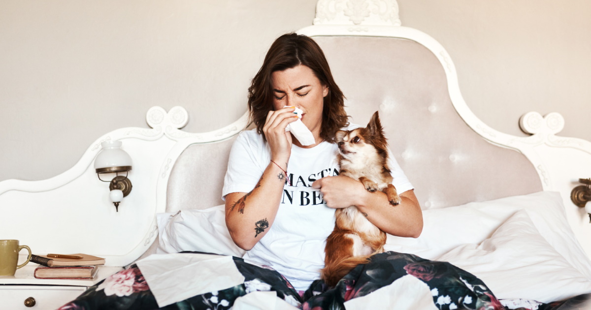 Why are my allergies worse in my bedroom?