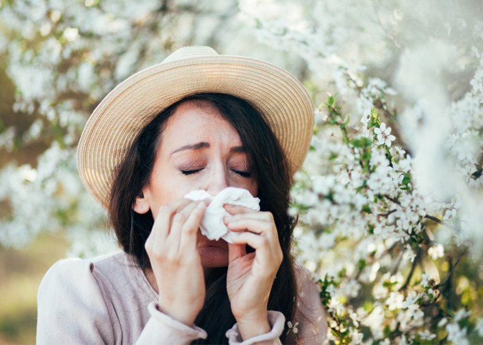 Can probiotics help seasonal allergies?