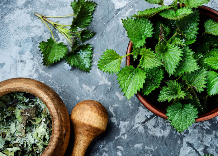 6 helpful herbs for allergy sufferers