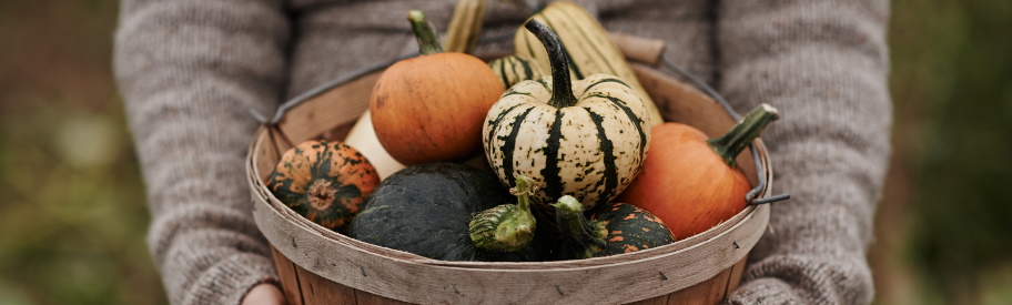 Woman holding barrel of pumpkins