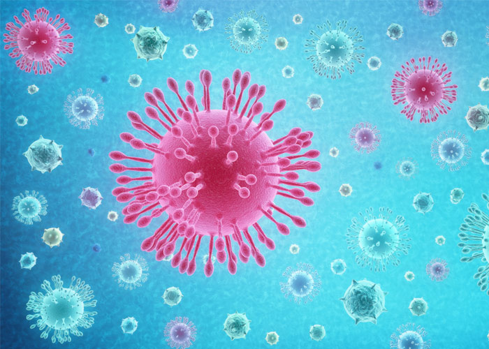 Are allergies a sign of a weakened immune system?