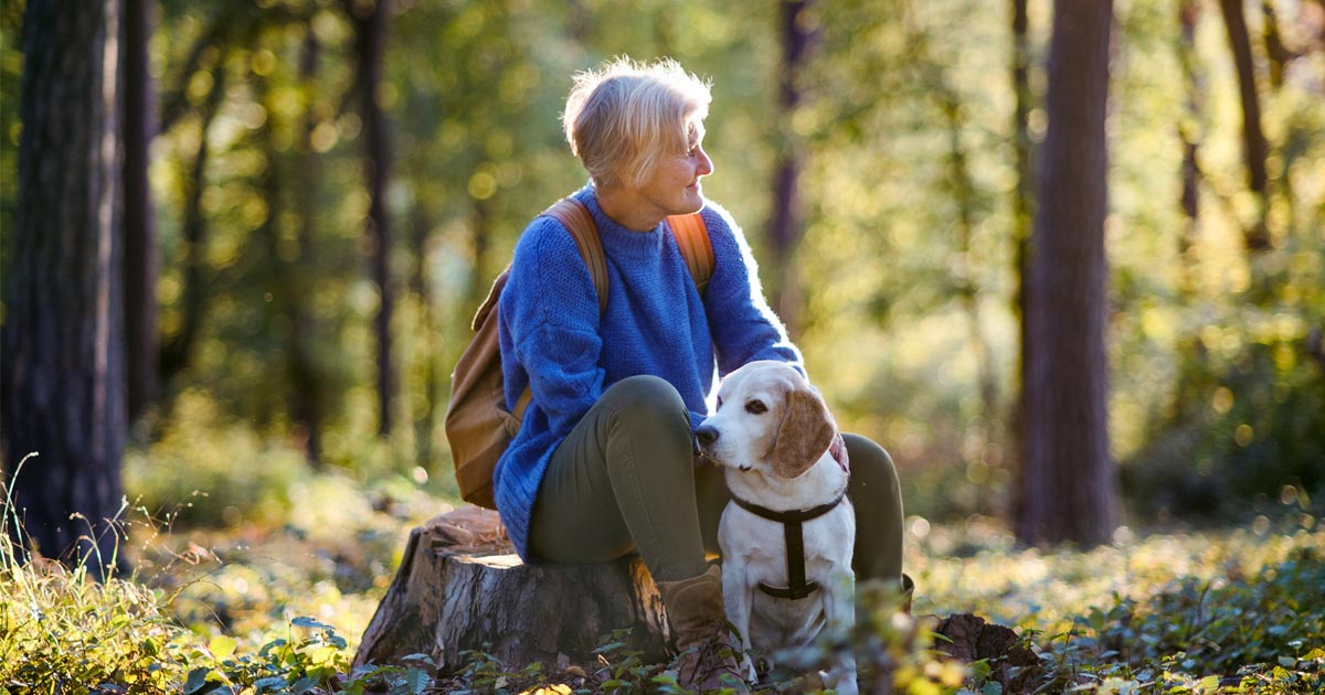 Is walking good for lower back pain?