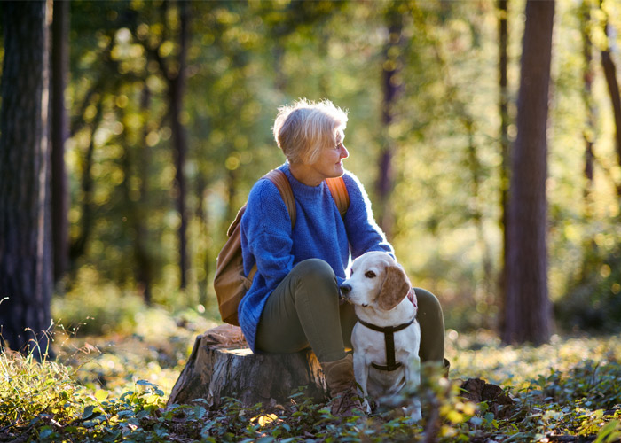 Is walking good for lower back pain?