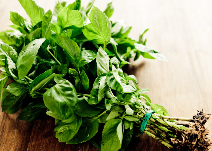 What is the herb basil good for?