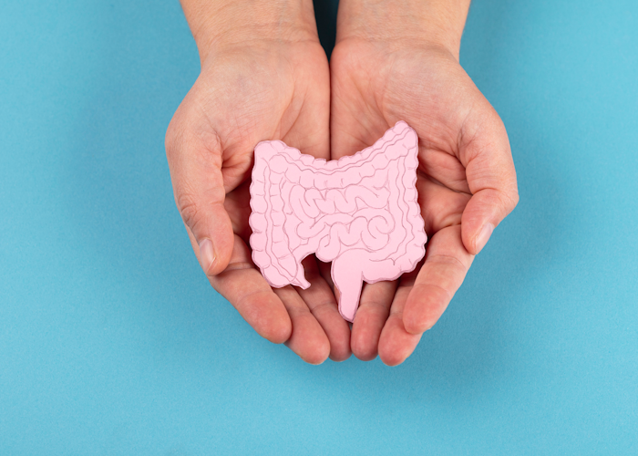 Day to day rules for supporting your gut health