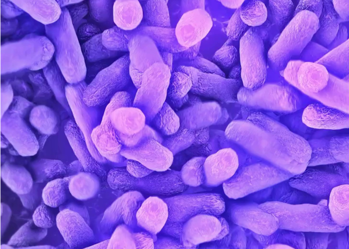 The ONE ingredient your gut will love