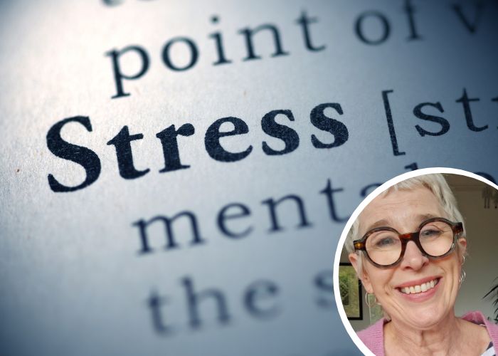 Perimenopause & Stress: Why You Feel Stuck in Fight or Flight