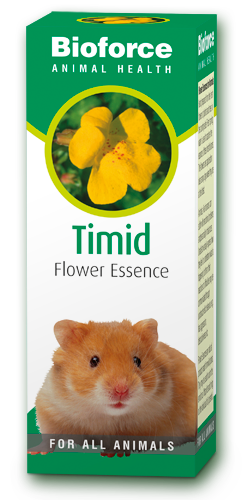 Animal Timid Essence – Bach Flower Remedies for pets