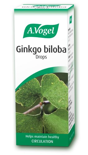 ginkgo biloba from a
