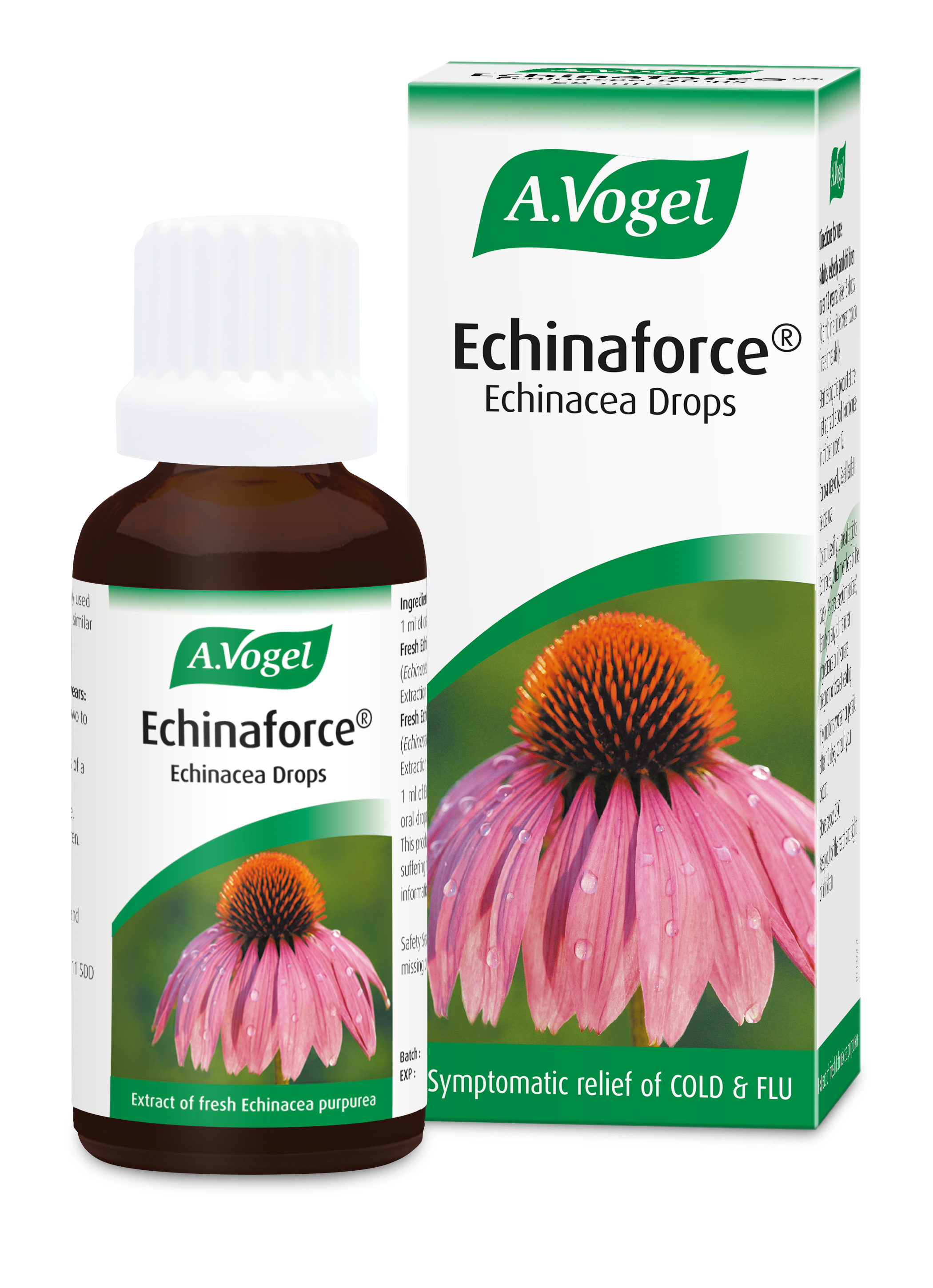 Echinaforce® | Echinacea drops for cold and flu relief