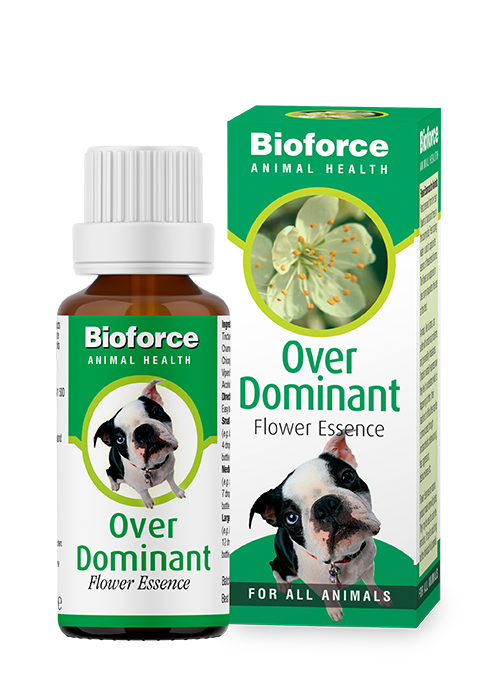 bach flowers for pets