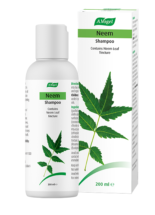 Neem Shampoo from A.Vogel an everyday shampoo containing neem leaf